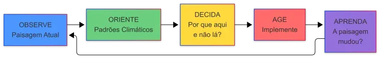 Ciclo de estratégia em cinco etapas: observe a paisagem, oriente-se pelos padrões climáticos, decida por que aqui e não lá, aja e aprenda se a paisagem mudou